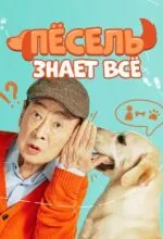 Пёсель знает всё