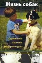 Animal Planet. Жизнь собак