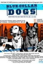 Собаки на службе