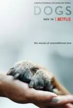 Друг человека