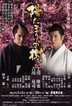 Деревья под солнцем