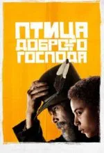 Птица доброго господа