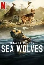 Волки острова Ванкувер