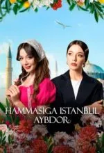 Во всём виноват Стамбул