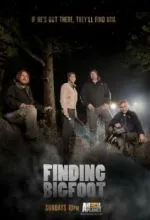 В поисках йети