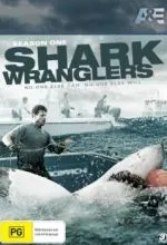 Акульи пастухи