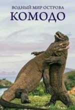 Водный мир острова Комодо