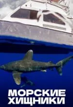 Морские хищники