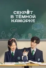Секрет в тёмной каморке