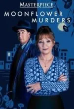 Совы охотятся ночью