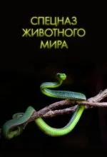 Спецназ животного мира