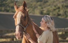 Лошади - сериалы