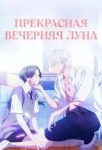 Прекрасная вечерняя луна